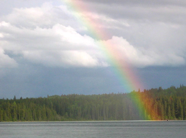 2005-Rainbow